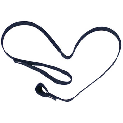 Leine mit Handschlaufe